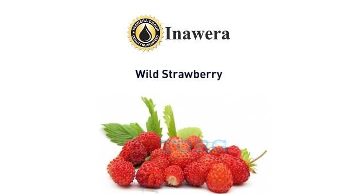 Ароматизатор Inawera Wild Strawberry